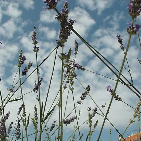 Appartement Eva Malinska