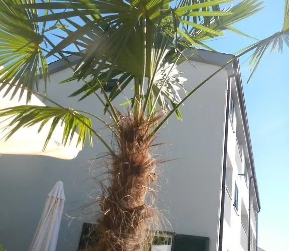 Eva Apartman Malinska