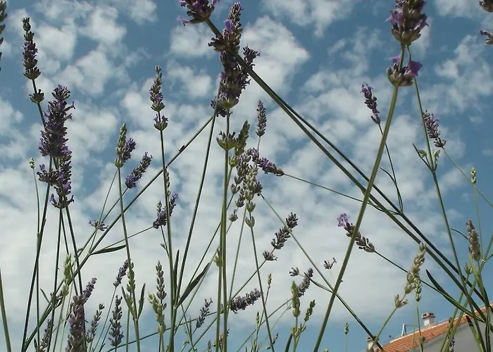 Apartman Eva Malinska